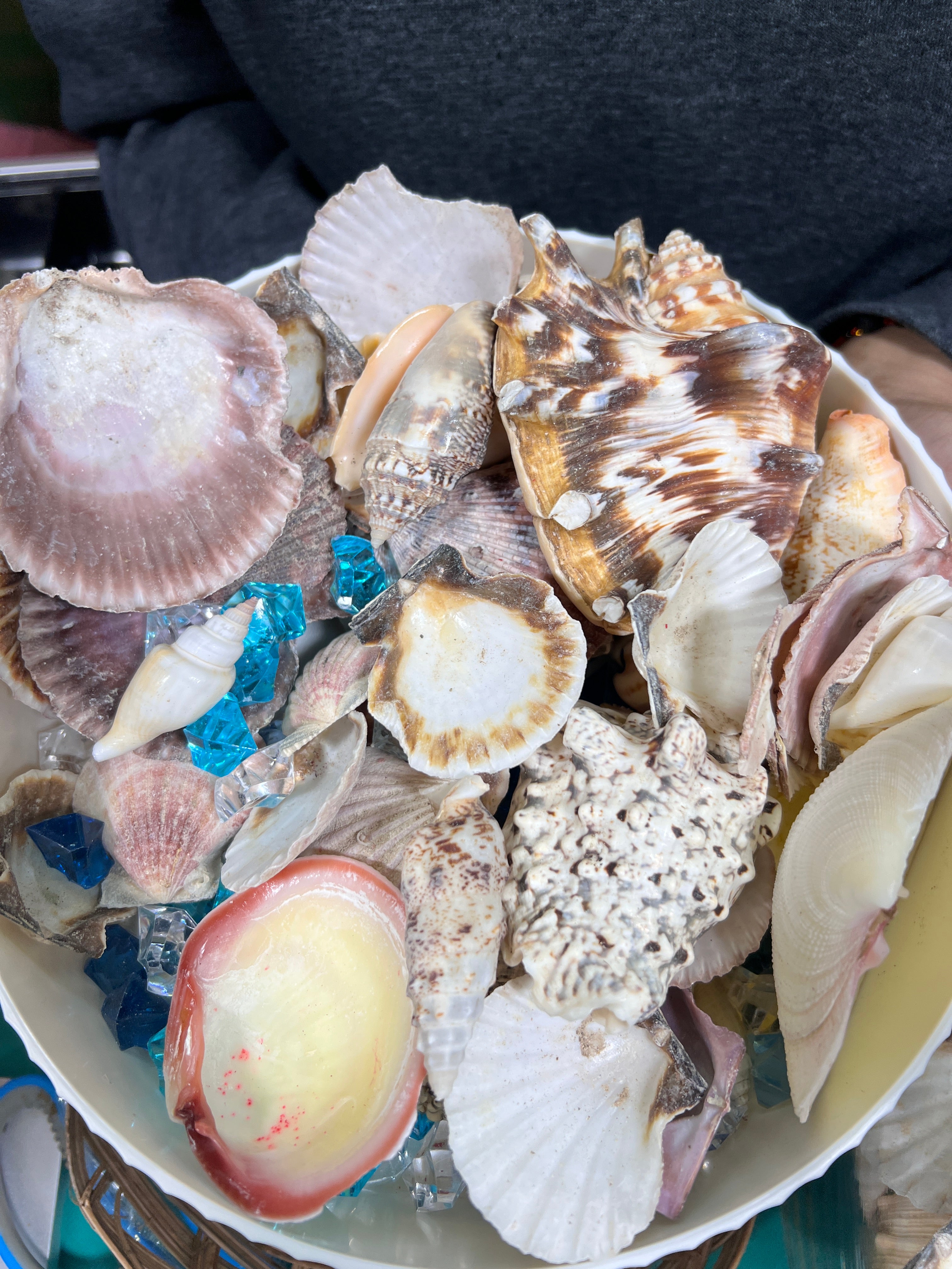 Caracoles ( seashells š) 1lb