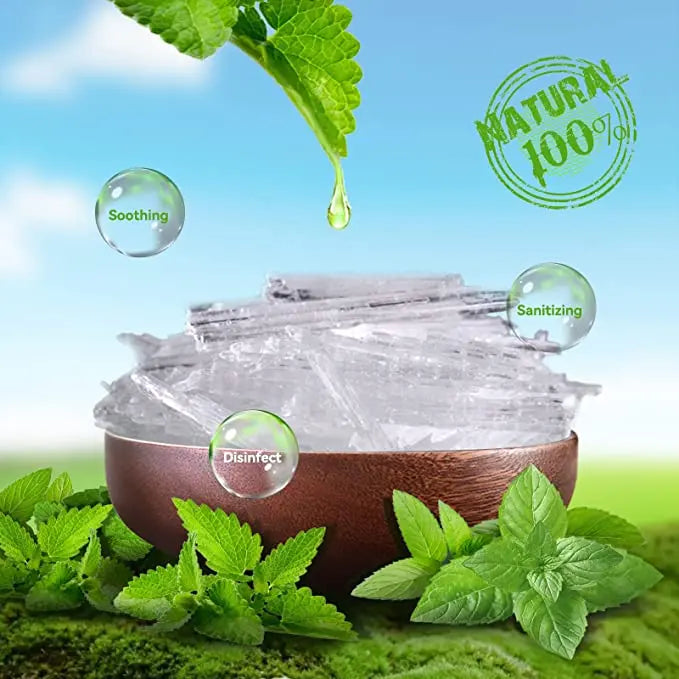 Best price Mint Extract Menthol botanica21division