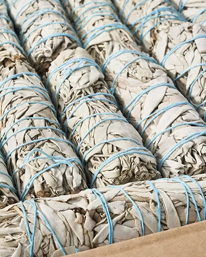 White Sage Bundle Healing Sage Smudge Sticks botanica21division