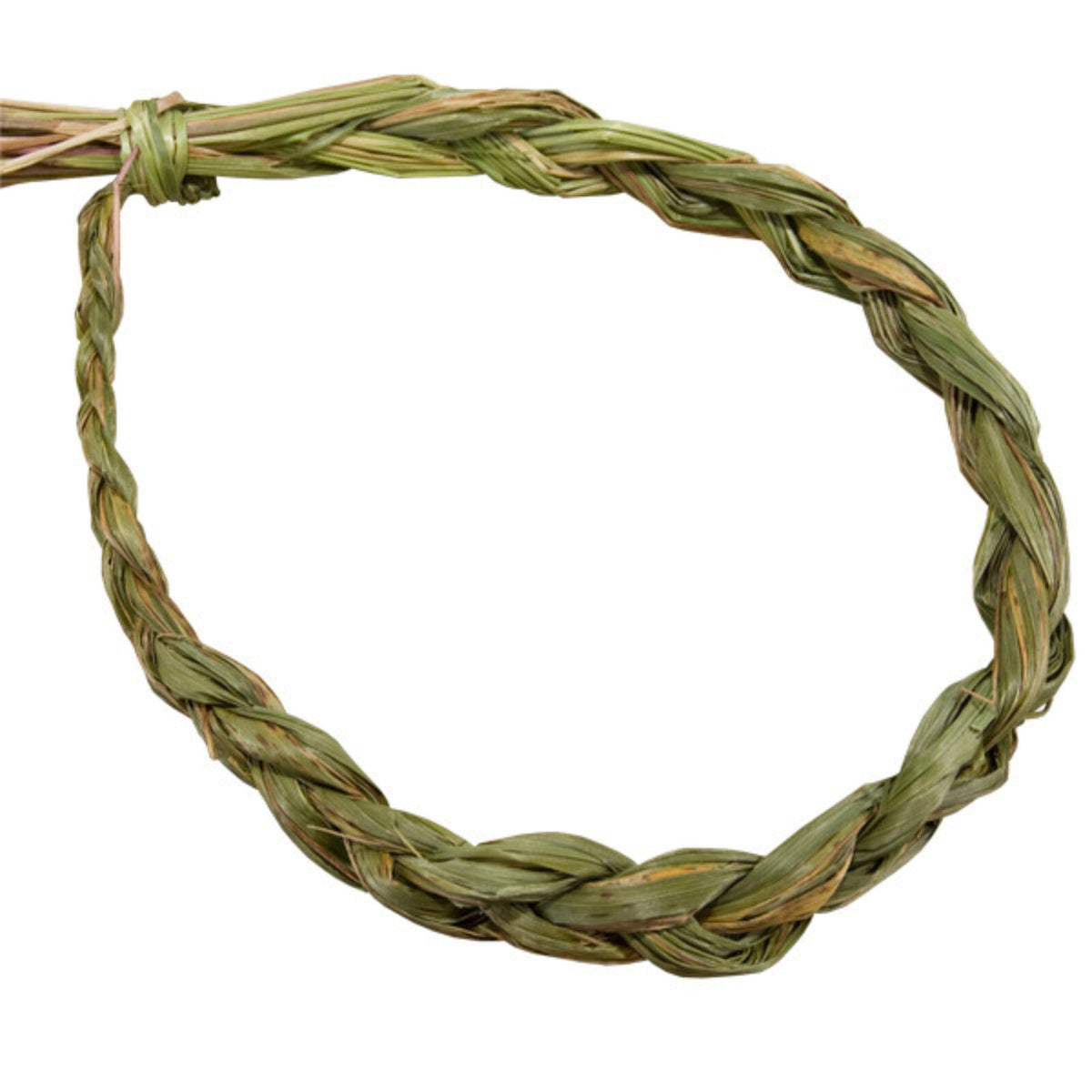 Sweetgrass Ribbon Sweetgrass Braids